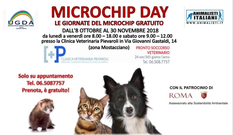 microchip days 43538274_1108453829304756_6194996158427824128_n - copia